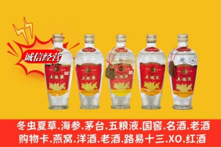 滨州阳信县回收老五粮液
