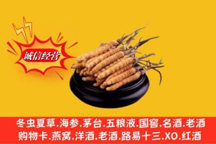 滨州阳信县名酒回收冬虫夏草.jpg